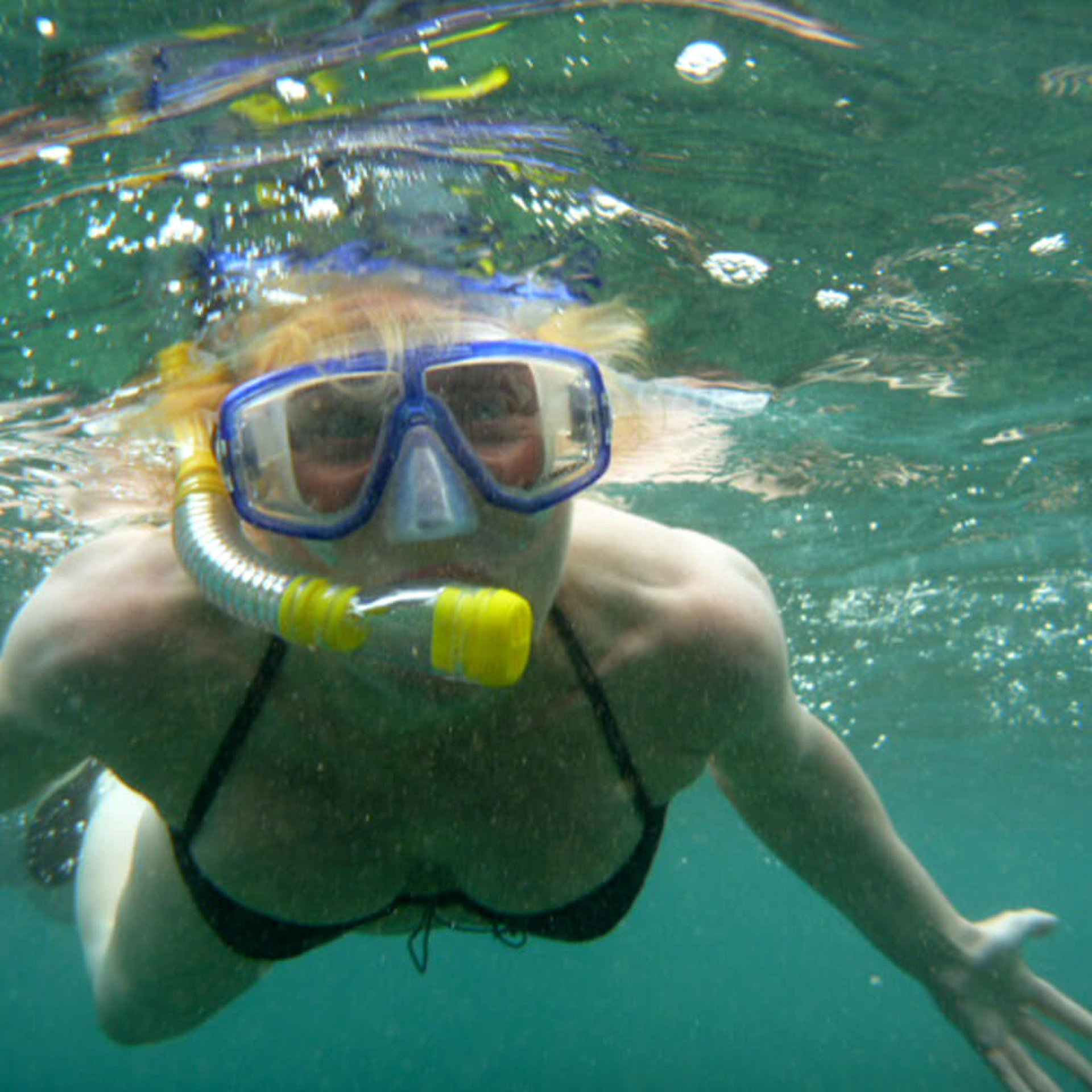 zwei besonders "dicke" Fische :-)