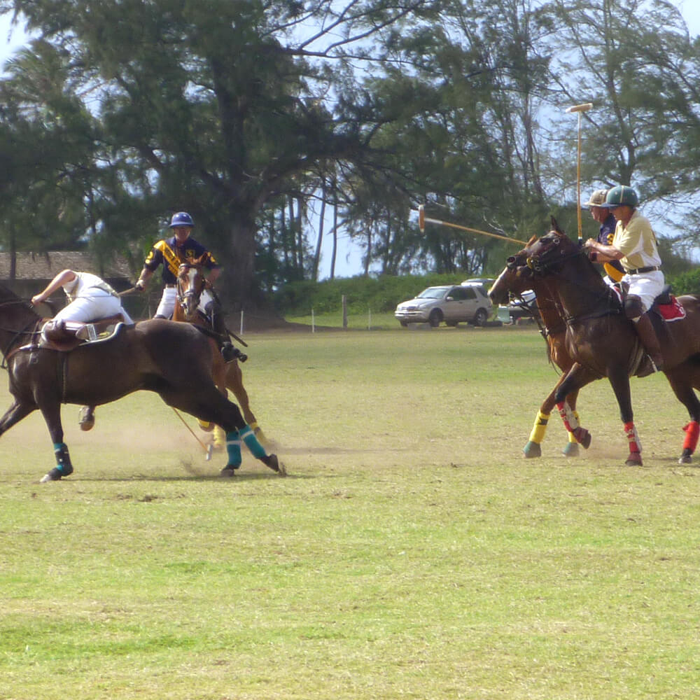 sogar ganz schön aufregend zwischendurch