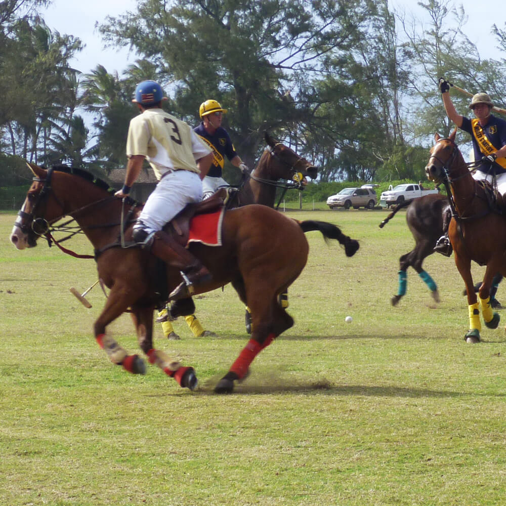 sogar ganz schön aufregend zwischendurch