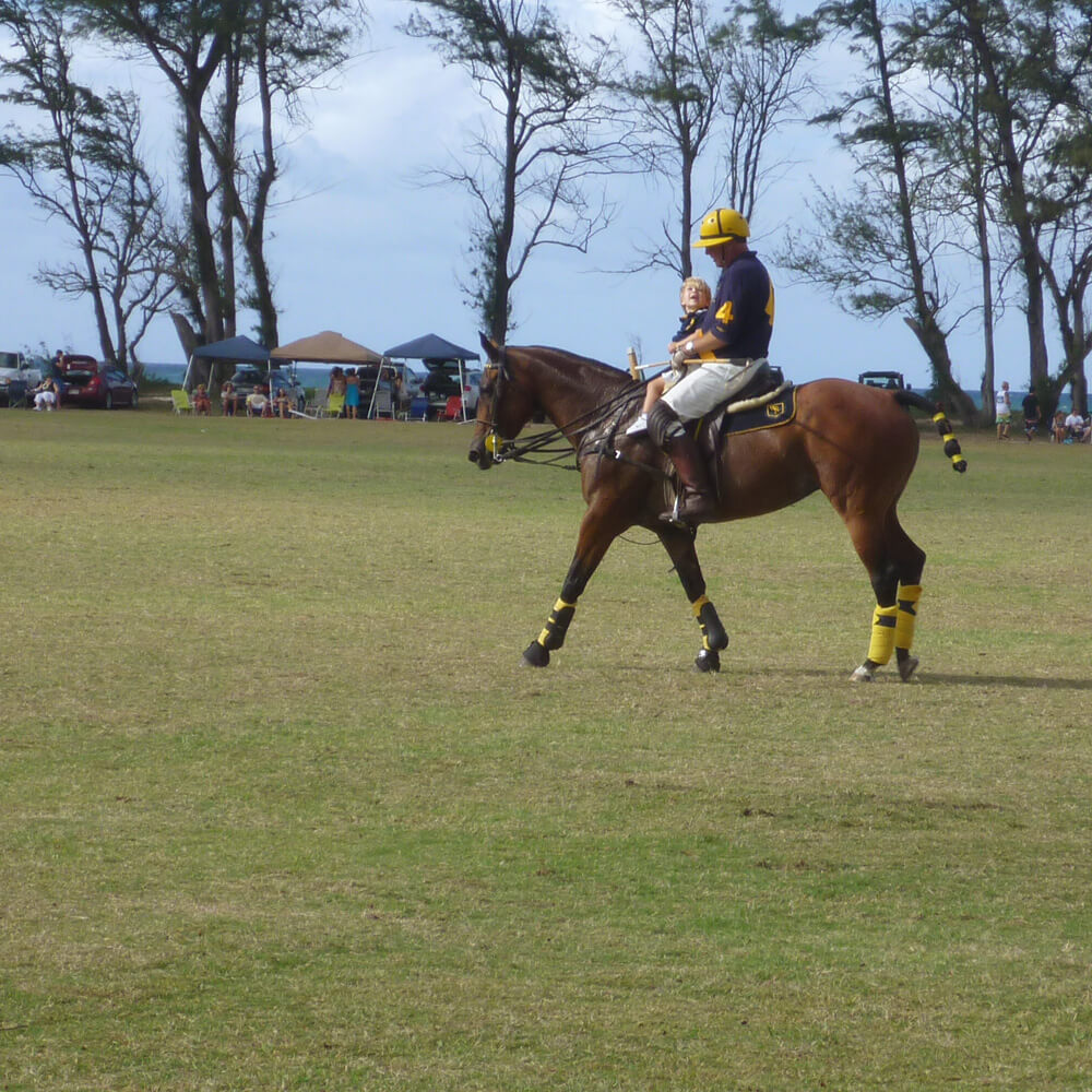 Nachwuchs gibt es auch schon